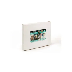 PANPASTEL® „Kirsty Rebecca“-Set