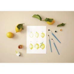 pébéo Aquarellpinsel 12er-Set, Feehaar-Synthetikfasern