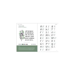 Praxisbuch Kalligraphie Alphabete