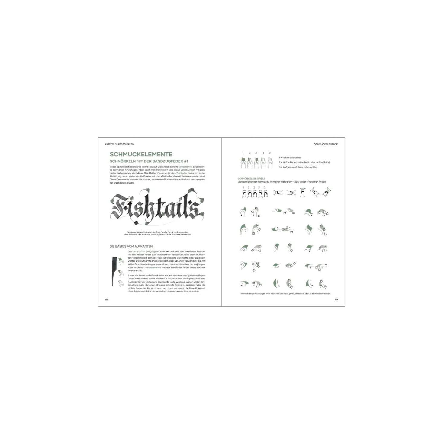 Praxisbuch Kalligraphie Alphabete