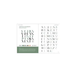 Praxisbuch Kalligraphie Alphabete