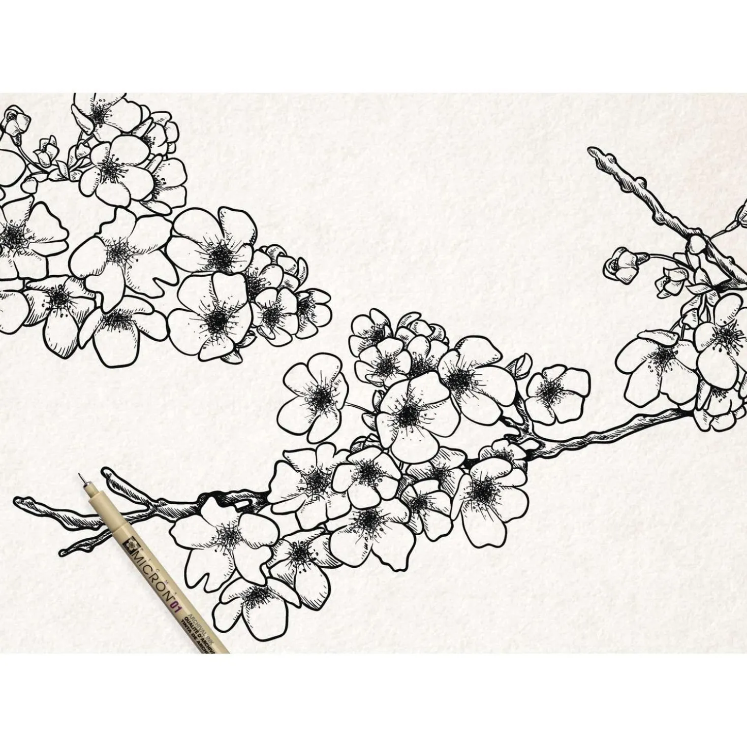 SAKURA® Pigma Micron™ Präzisions-Zeichenstift schwarz, einzeln