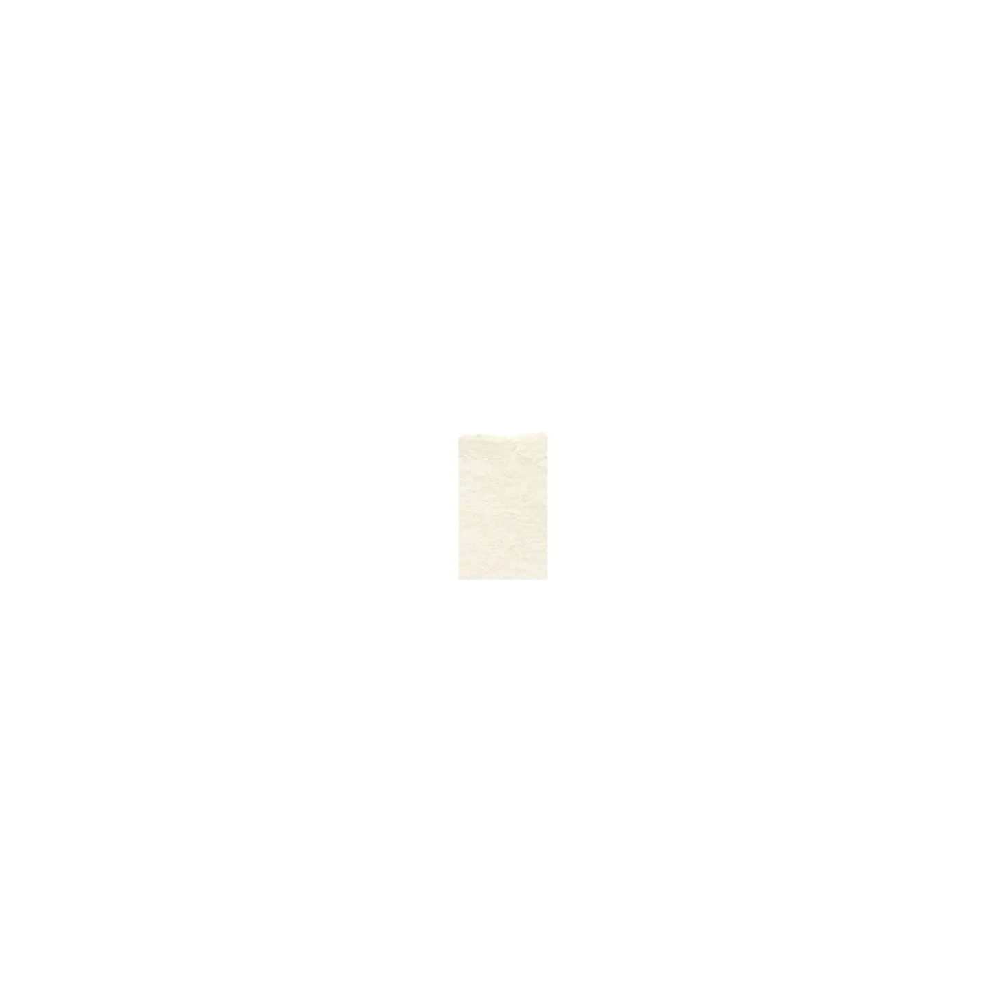 Sekishu Shi Papier