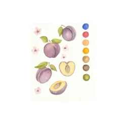 Sommerliche Früchte