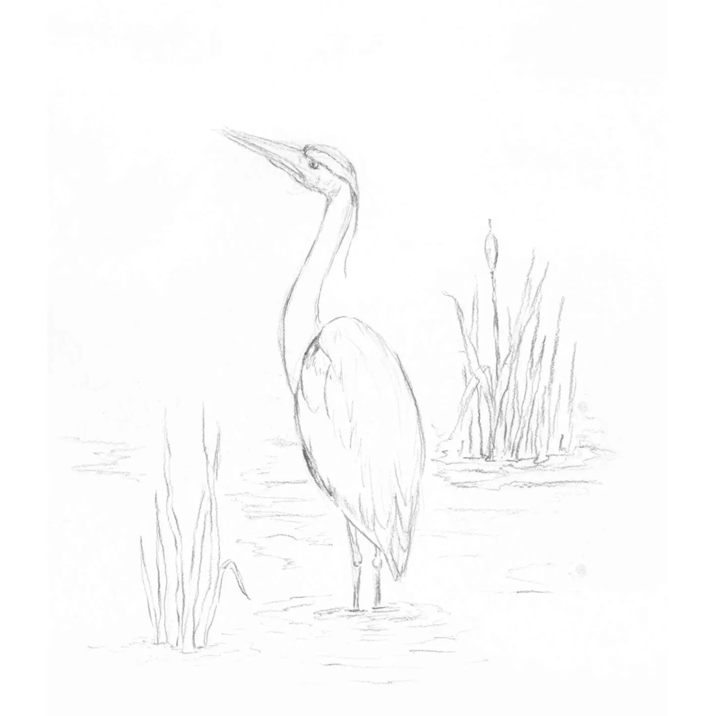 STAEDTLER® Mars® Lumograph® aquarell 100A