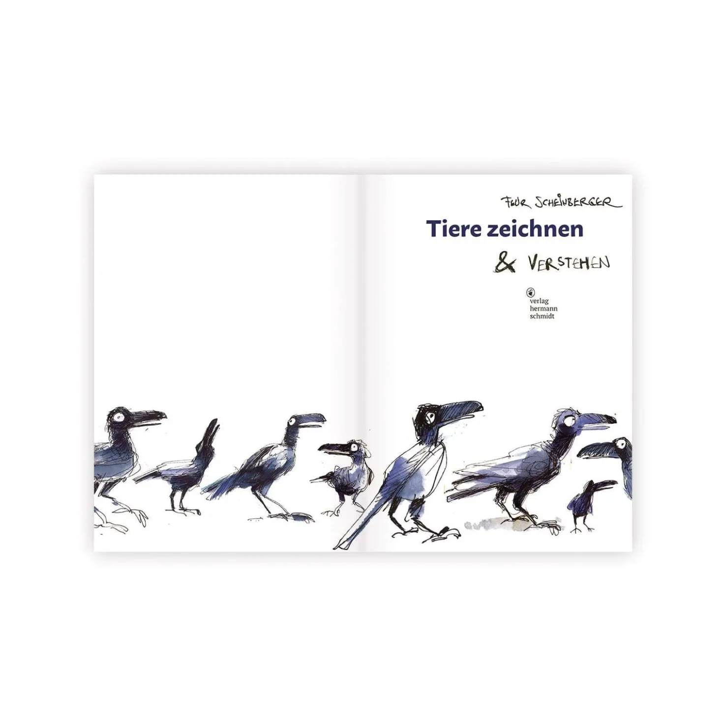 Tiere zeichnen und verstehen