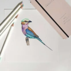 TOMBOW® IROJITEN Farbstifte 30er-Sets in Buchbandoptik