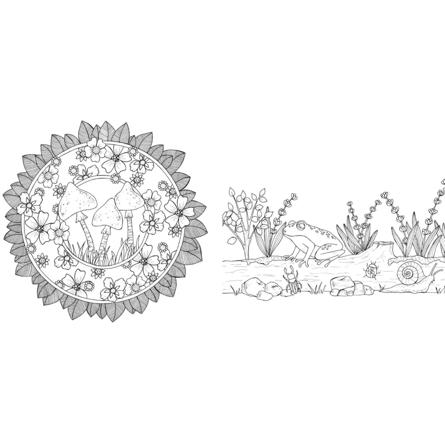Waldgeflüster – Natur-Motive und Tiere ausmalen