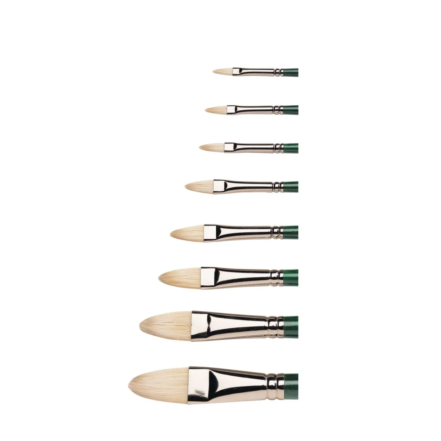 WINSOR & NEWTON™ WINTON Borstenpinsel für Öl- und Acrylmalerei, filbert