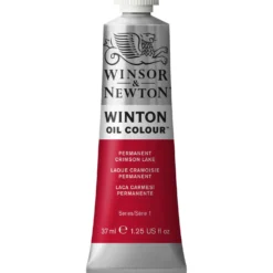 WINSOR & NEWTON™ WINTON™ Studienölfarbe, einzeln