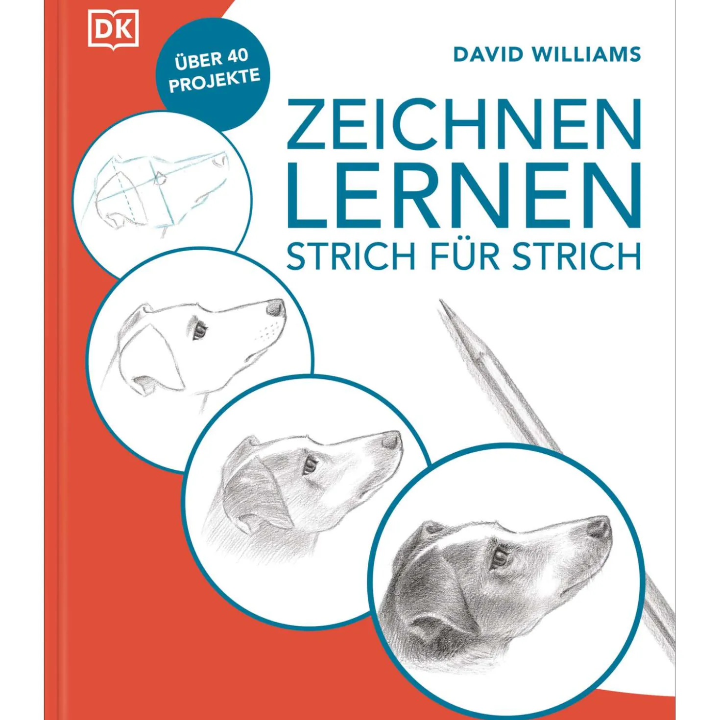 Zeichnen lernen - Strich für Strich