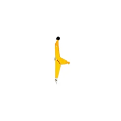 Zirkel smiling scompas